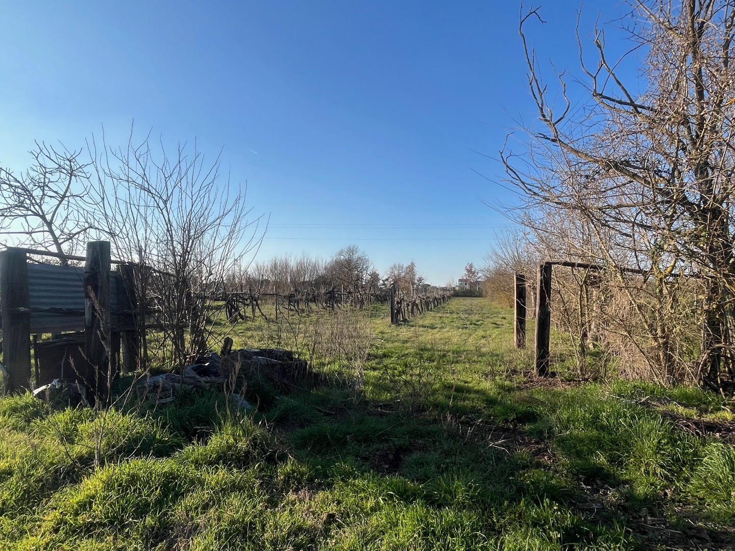 AV 1889 – 4 ABITAZIONE DA RISTRUTTURARE CORTONA CAMPAGNA