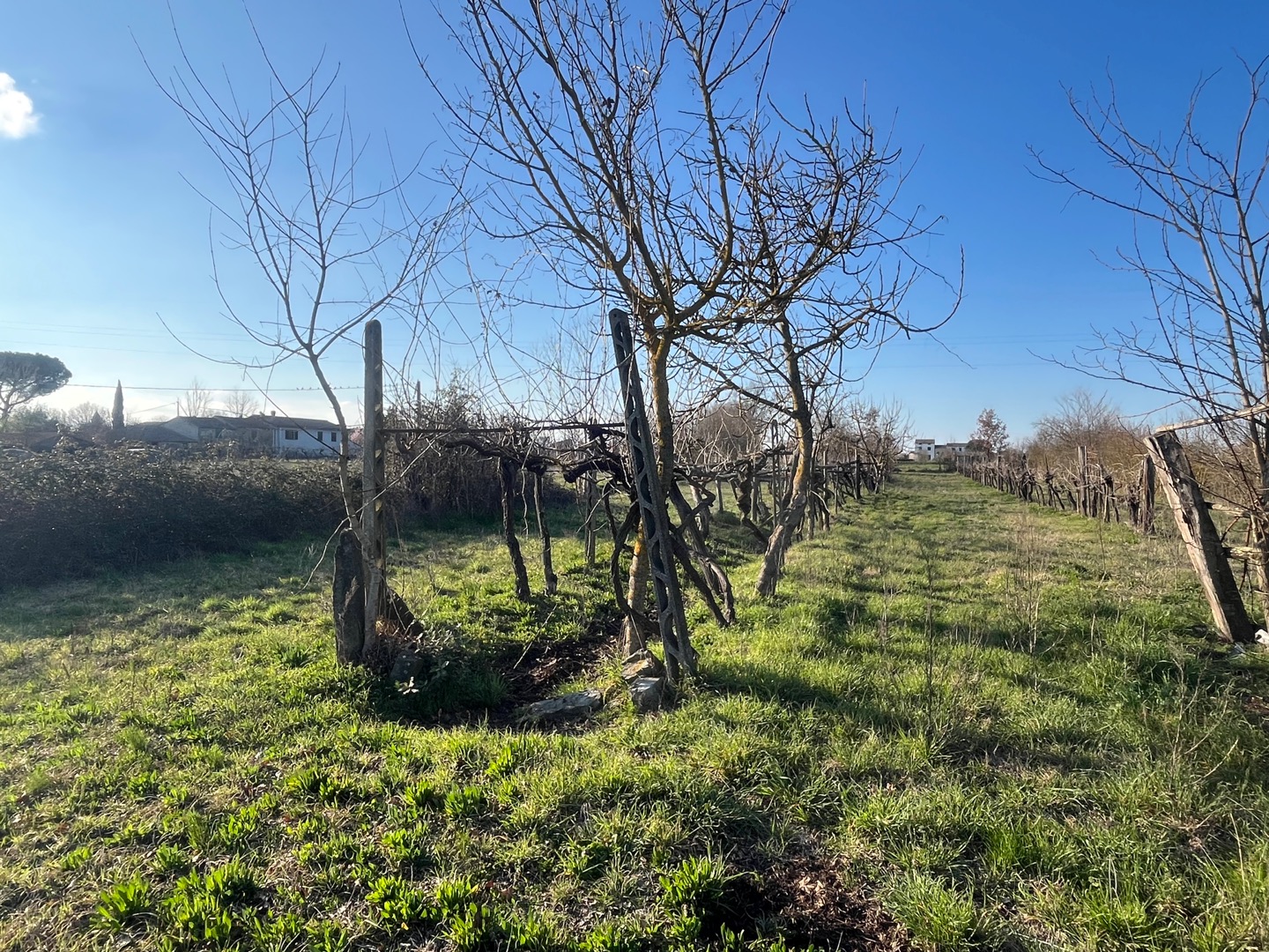 AV 1889 – 5 ABITAZIONE DA RISTRUTTURARE CORTONA CAMPAGNA