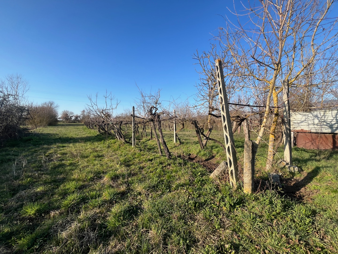 AV 1889 – 6 ABITAZIONE DA RISTRUTTURARE CORTONA CAMPAGNA