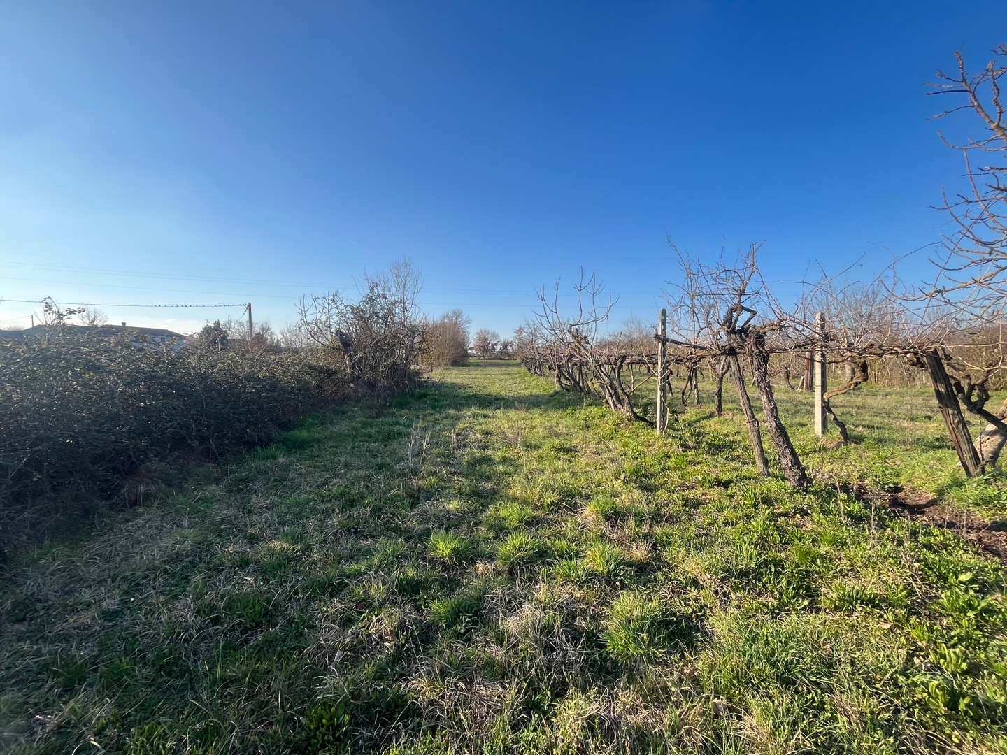 AV 1889 – 7 ABITAZIONE DA RISTRUTTURARE CORTONA CAMPAGNA