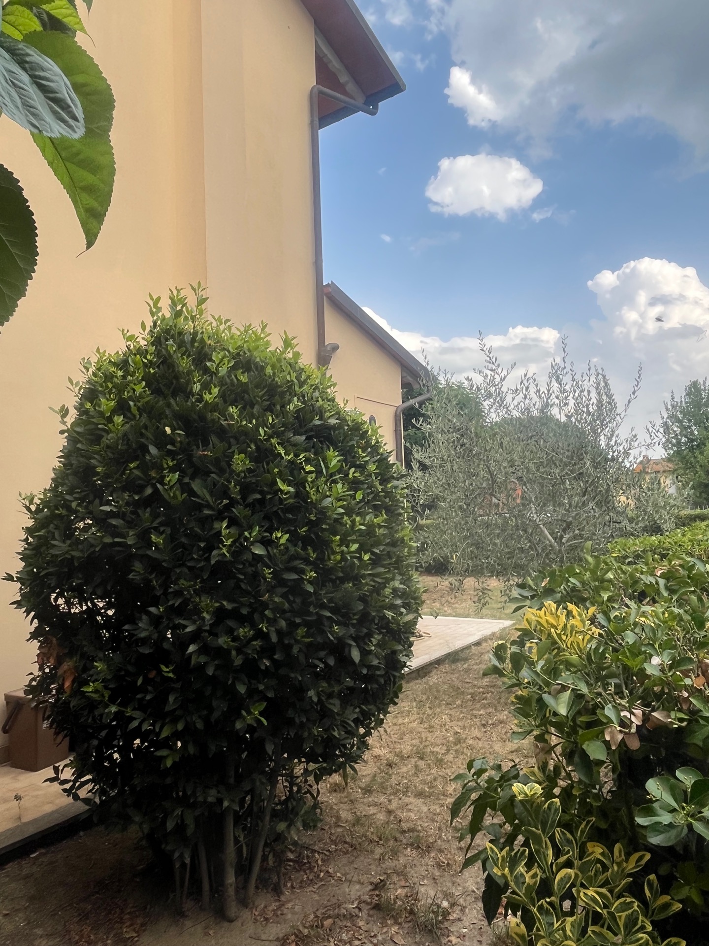 AV 1672 – 15 APPARTAMENTO CON GIARDINO LOCALITA’ BADIACCIA