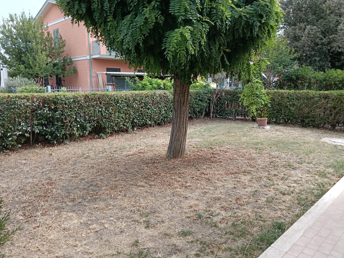 AV 1672 – 9 APPARTAMENTO CON GIARDINO LOCALITA’ BADIACCIA
